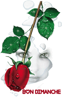 Gif animé Bon dimanche rose